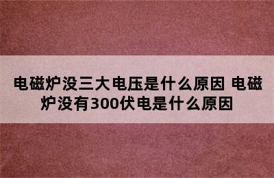 电磁炉没三大电压是什么原因 电磁炉没有300伏电是什么原因